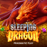 Sleeping Dragon logo