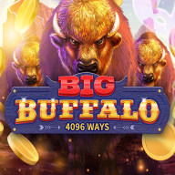 Big Buffalo logo