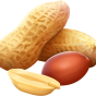 Peanuts img