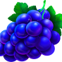 Grape img