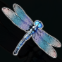 Dragonfly img