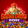 Reel King Riches logo