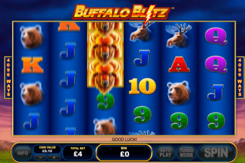 buffalo blitz playtech jogo casino online 