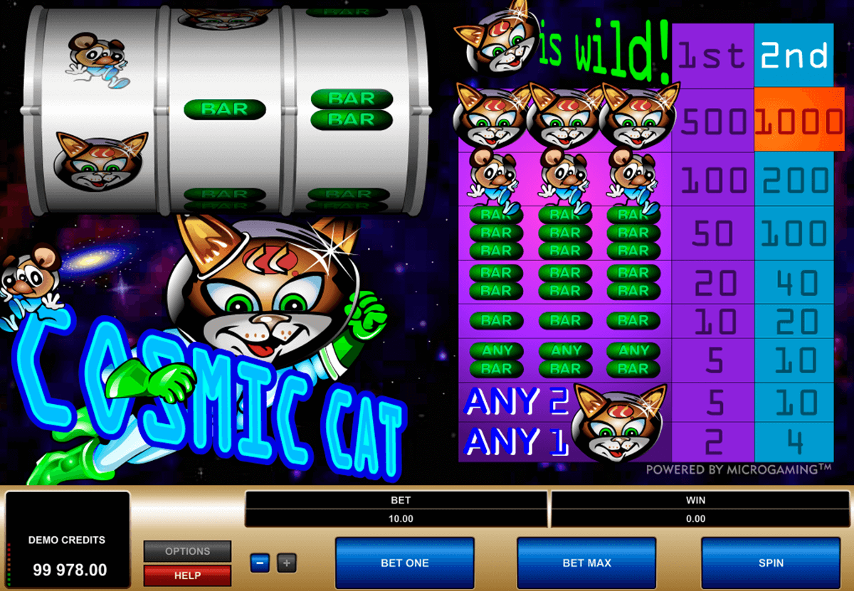 cosmic cat microgaming jogo casino online 