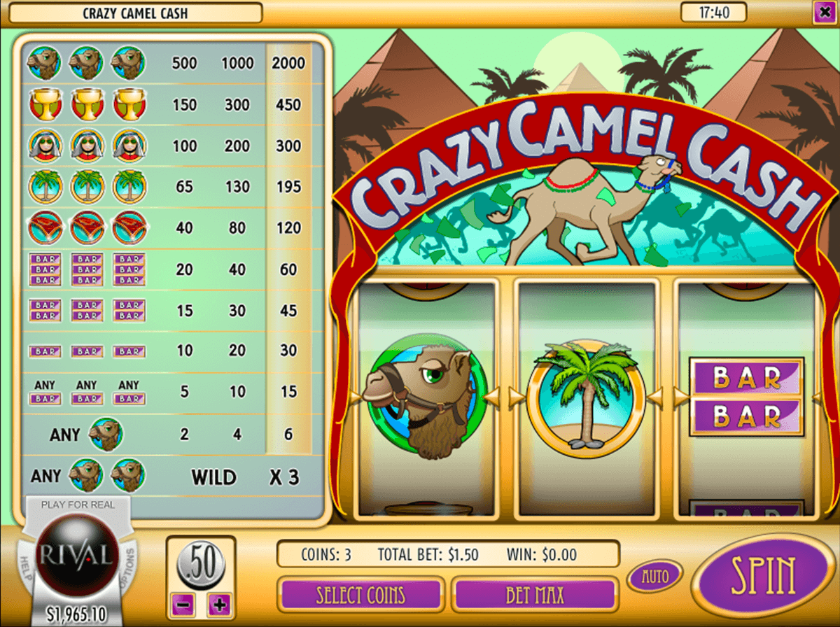 crazy camel cash rival jogo casino online 