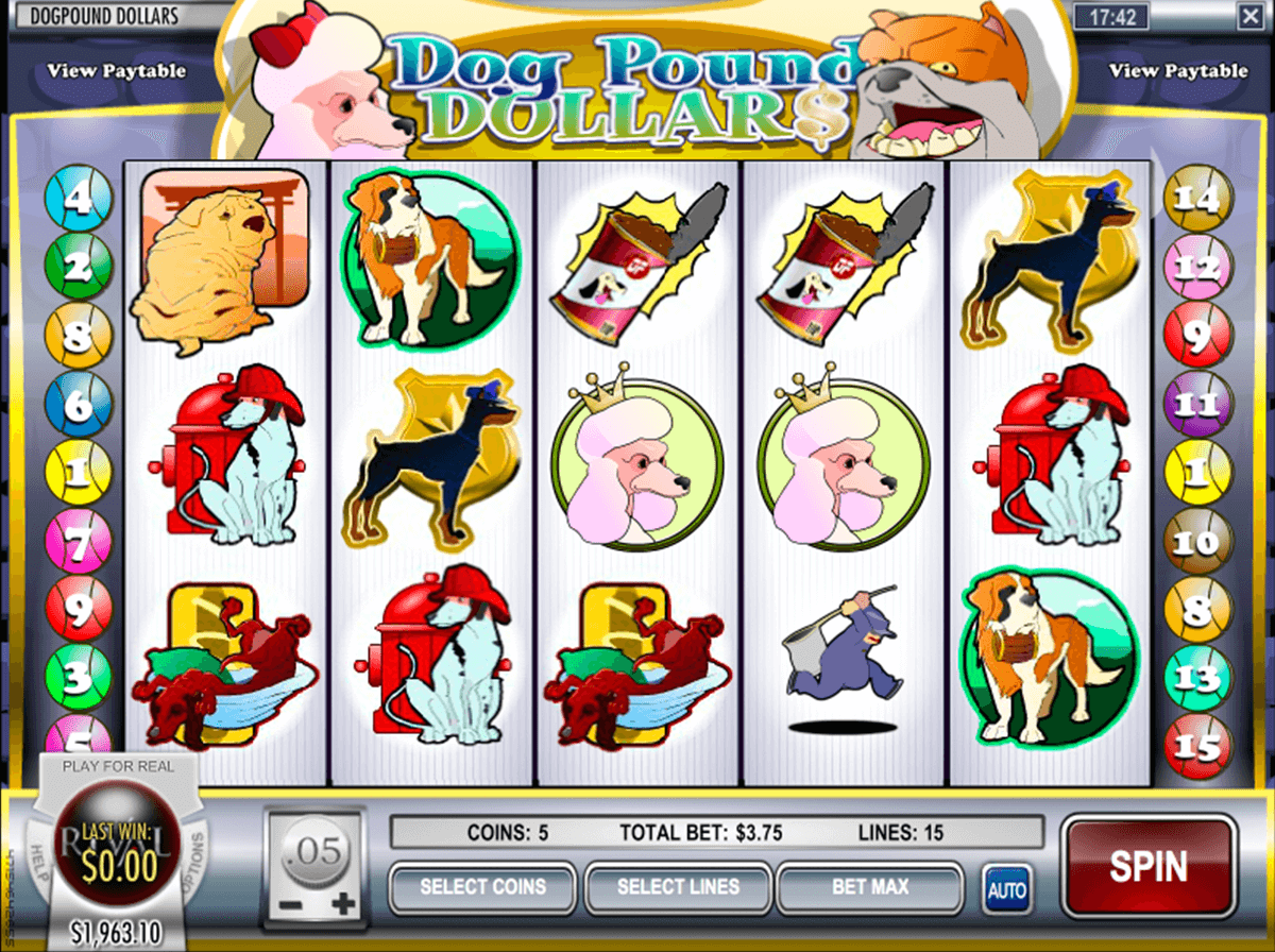 dog pound dollars rival jogo casino online 