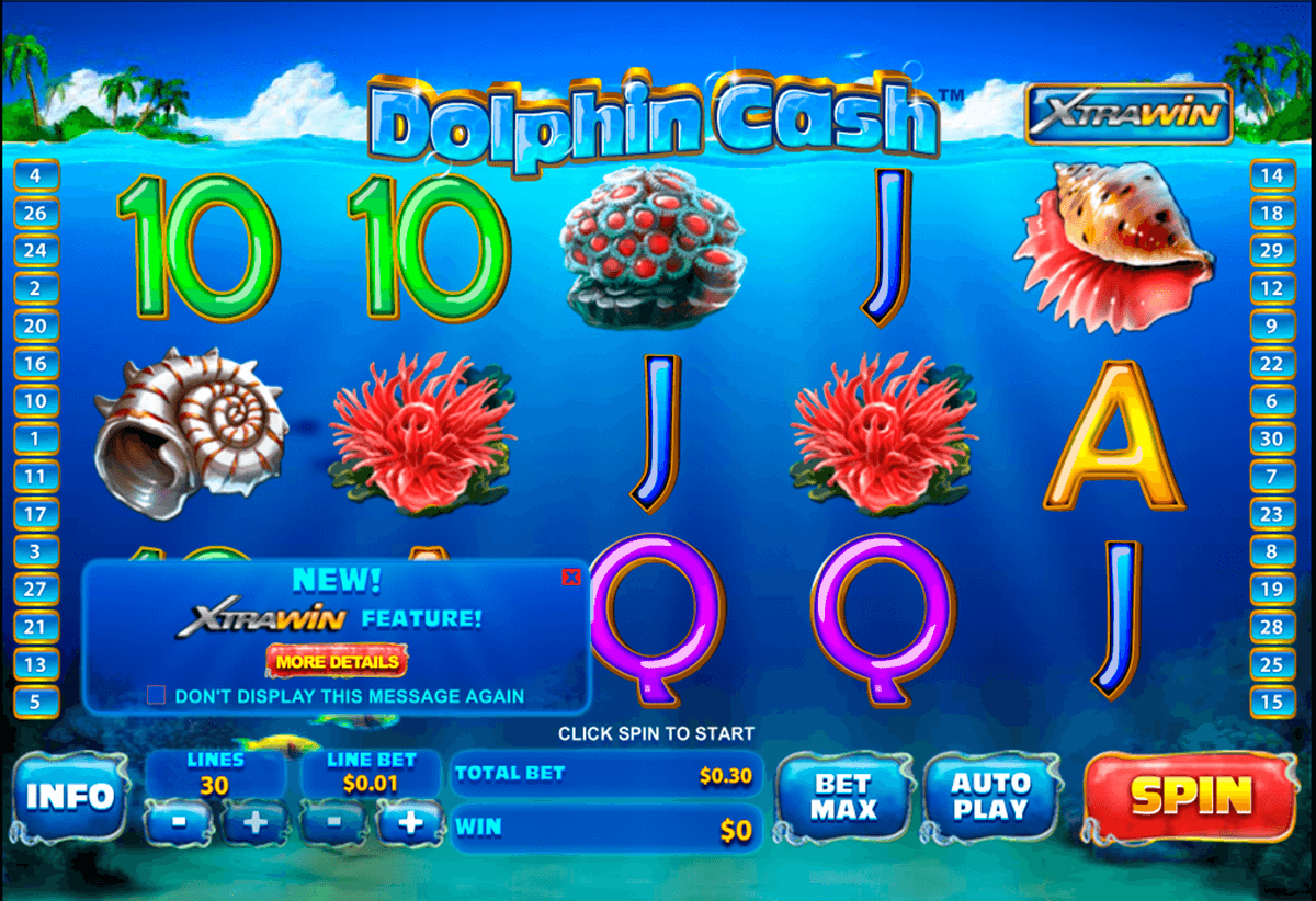 dolphin cash playtech jogo casino online 