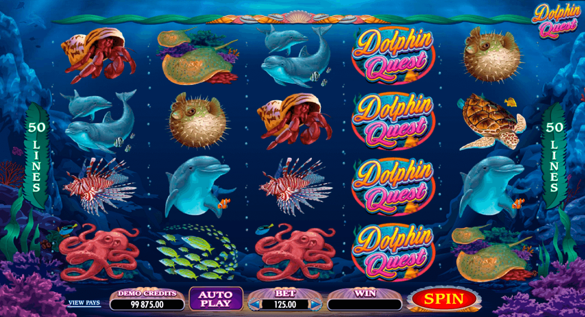 dolphin quest microgaming jogo casino online 