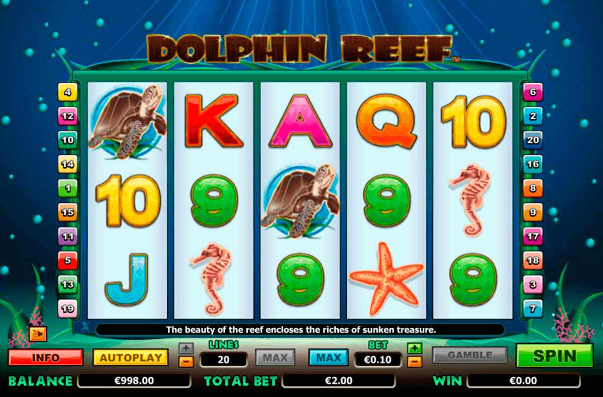 dolphin reef nextgen gaming jogo casino online 