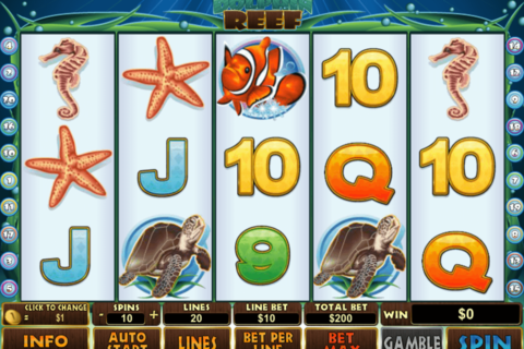 dolphin reef playtech jogo casino online 