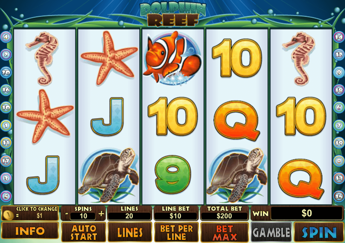 dolphin reef playtech jogo casino online 