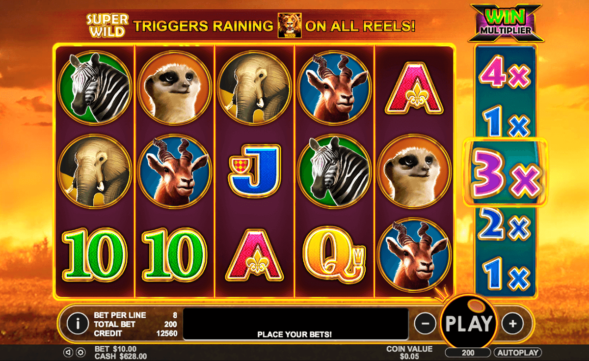 hot safari pragmatic jogo casino online