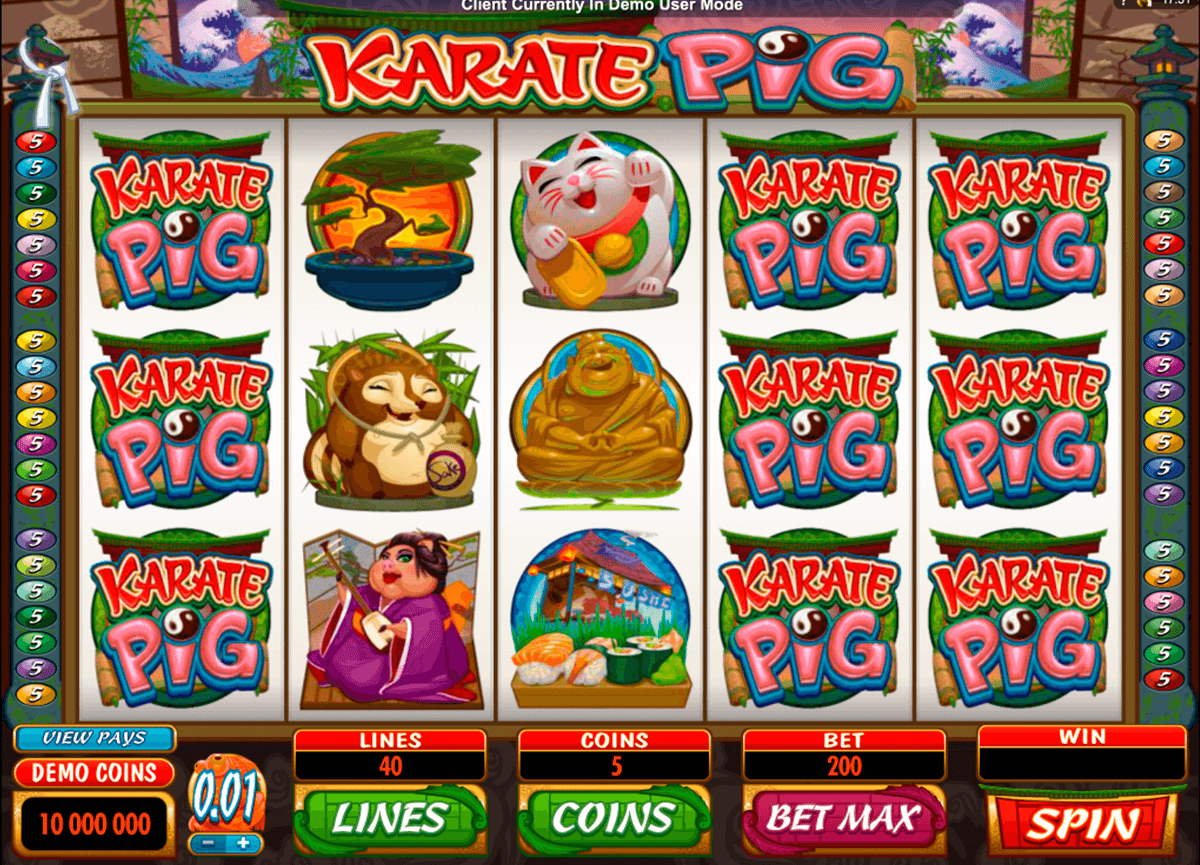 karate pig microgaming jogo casino online 