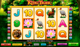 king tiger nextgen gaming jogo casino online 