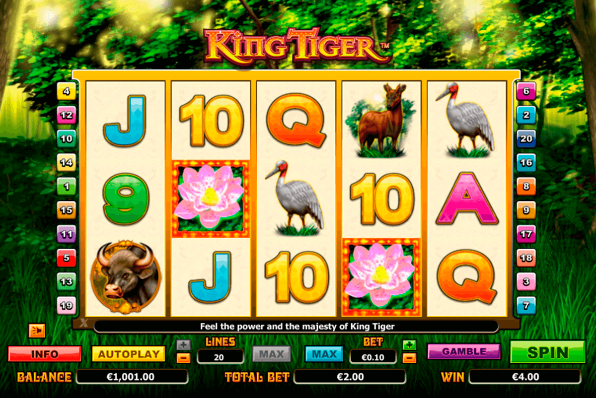 king tiger nextgen gaming jogo casino online 