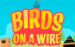 logo birds on a wire thunderkick caça niquel 