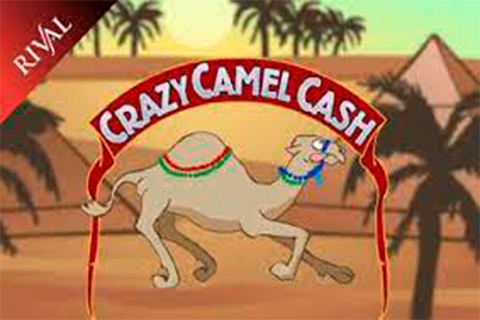 logo crazy camel cash rival 3 