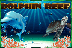 logo dolphin reef nextgen gaming caça niquel 