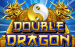 logo double dragon bally 