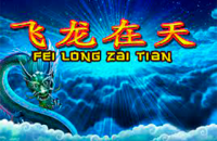 logo fei long zai tian playtech 