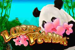 logo lucky panda playtech caça niquel 