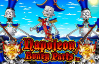 logo napoleon boney parts nextgen gaming 