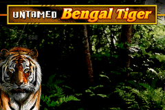 logo untamed bengal tiger microgaming caça niquel 