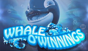 logo whale o winnings rival 1 