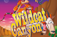 logo wild cat canyon nextgen gaming 