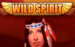 logo wild spirit playtech caça niquel 