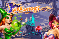 logo wild witches netent caça niquel 
