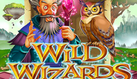 logo wild wizards rtg 