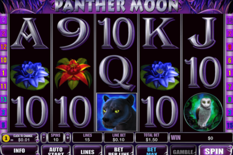 panther moon playtech jogo casino online 