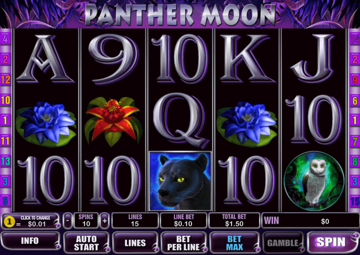 panther moon playtech jogo casino online