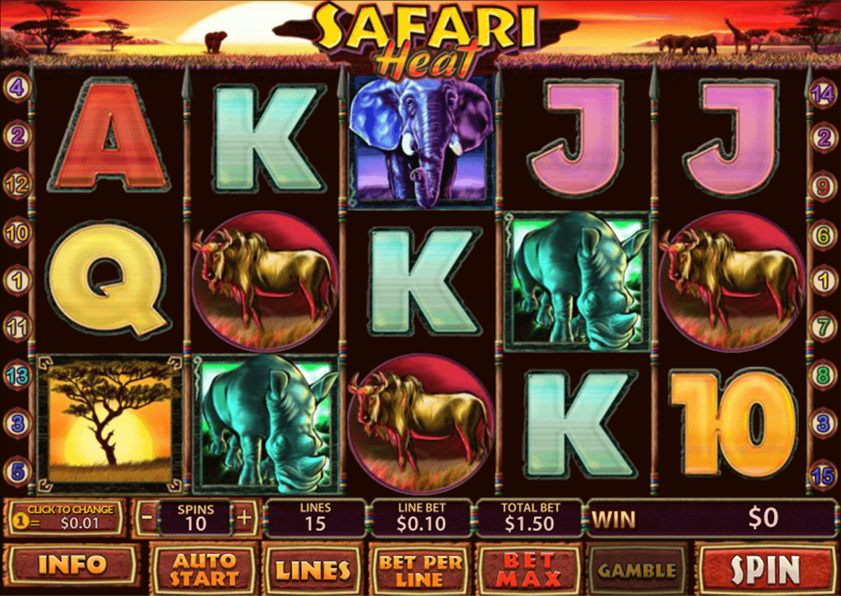 safari heat playtech jogo casino online