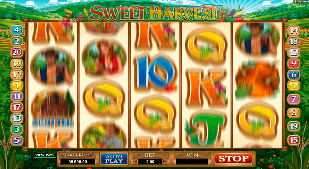 sweet harvest microgaming jogo casino online 