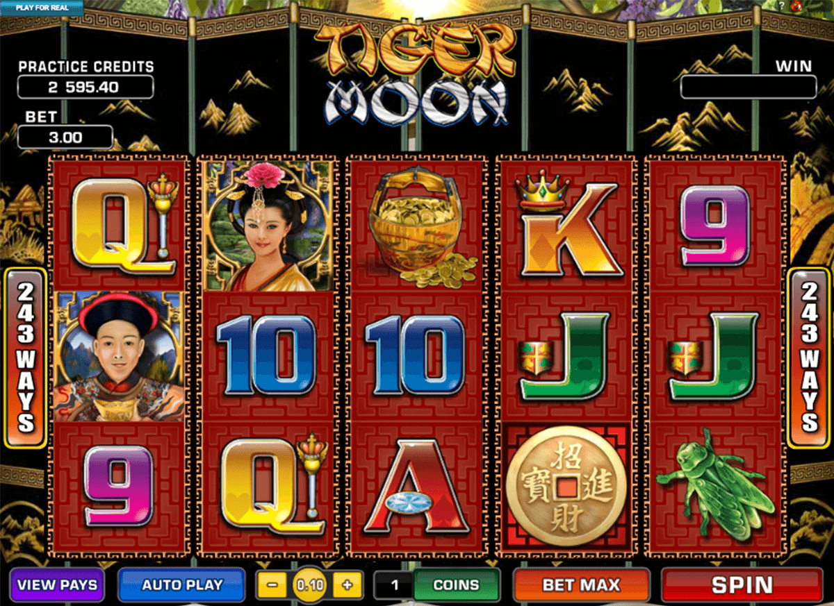 tiger moon microgaming jogo casino online 