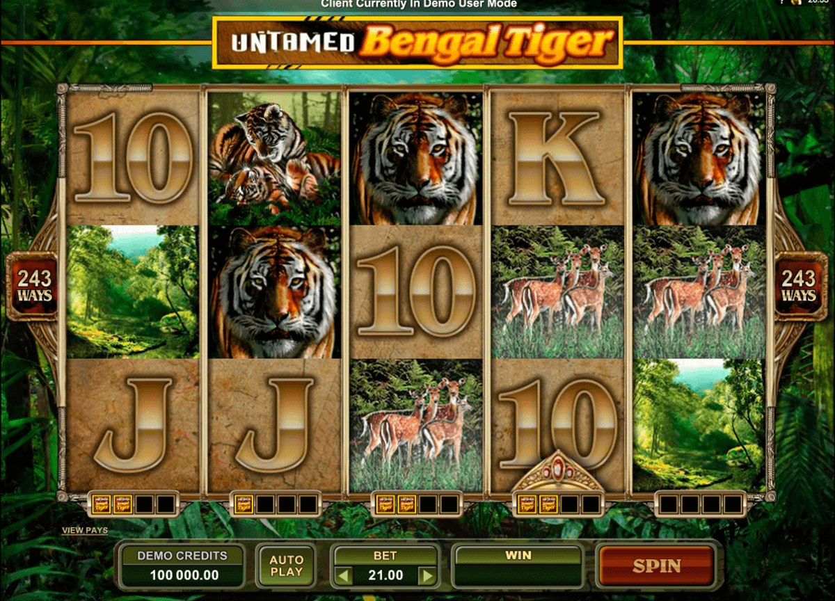 untamed bengal tiger microgaming jogo casino online 