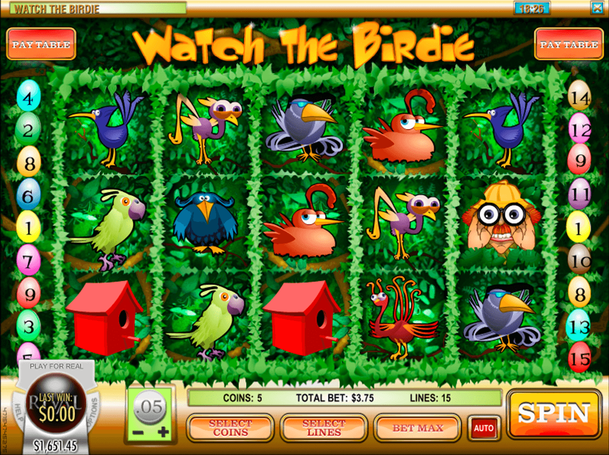 watch the birdie rival jogo casino online 
