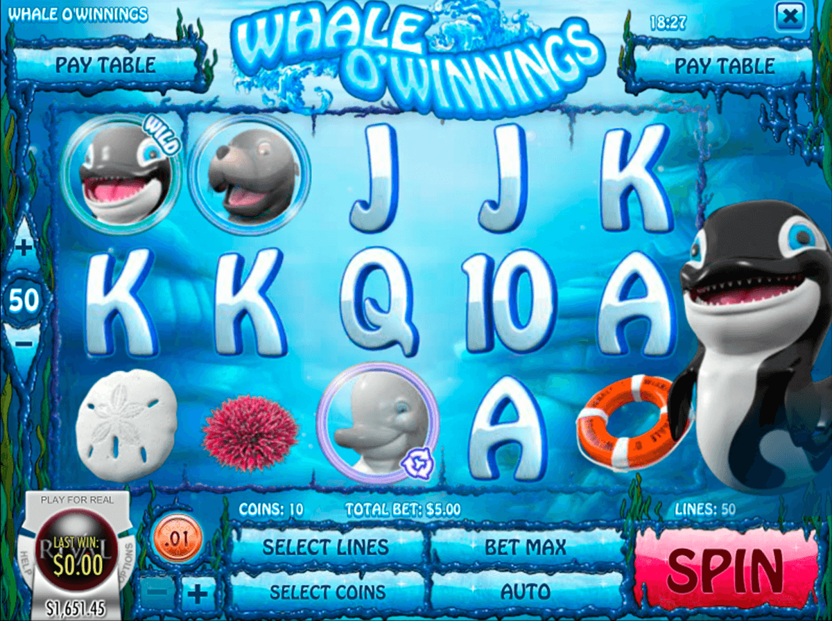 whale o winnings rival jogo casino online 