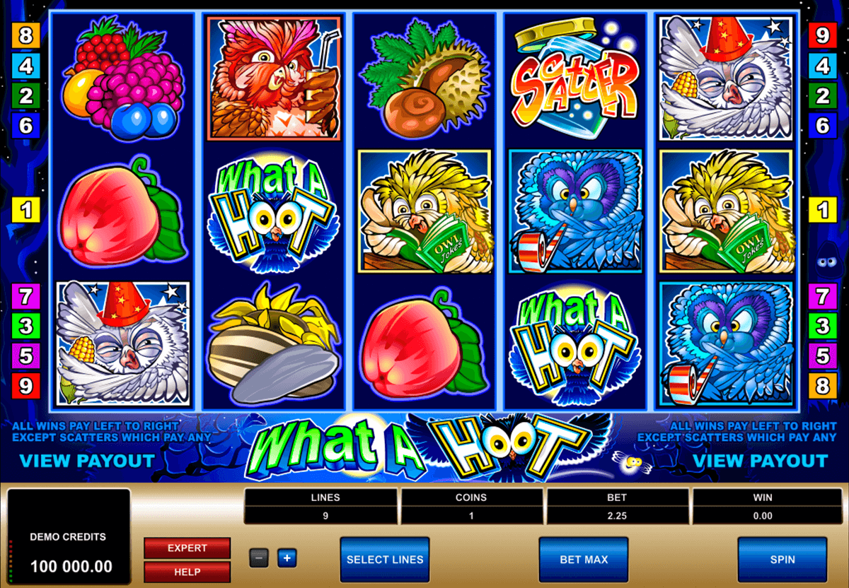 what a hoot microgaming jogo casino online 