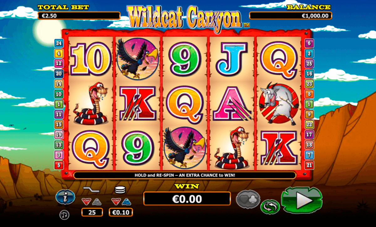 wild cat canyon nextgen gaming jogo casino online