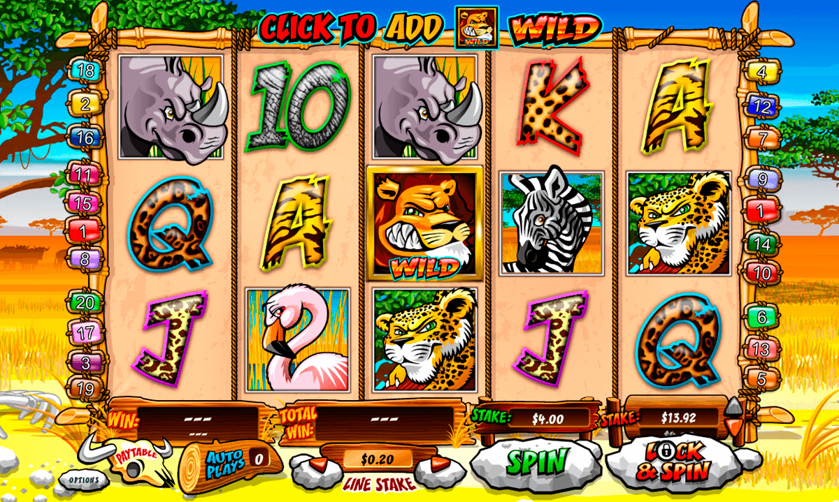 wild gambler playtech jogo casino online 