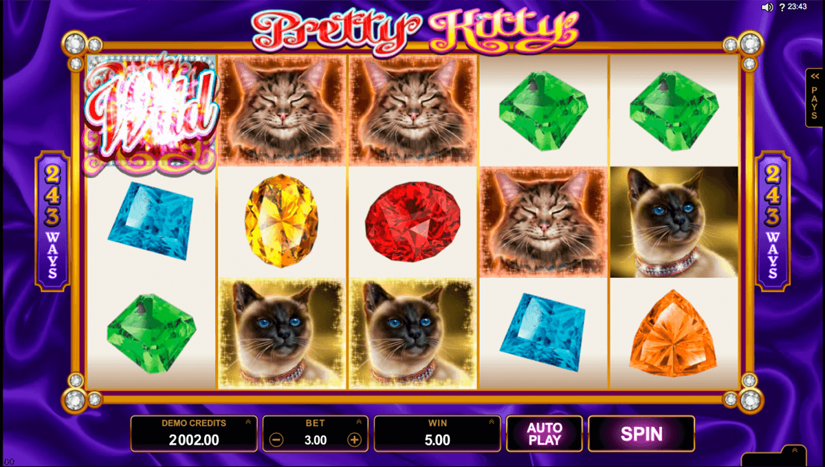 win sum dim sum microgaming jogo casino online 