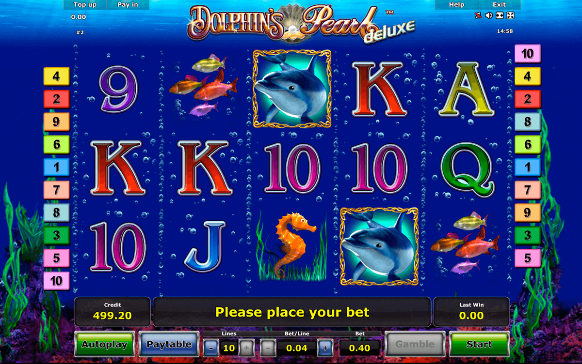 dolphins pearl deluxe novomatic jogo casino online 