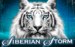 logo siberian storm igt caça niquel 