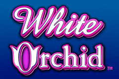 logo white orchid igt caça niquel 