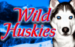 logo wild huskies bally caça niquel 