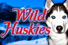 logo wild huskies bally caça niquel 