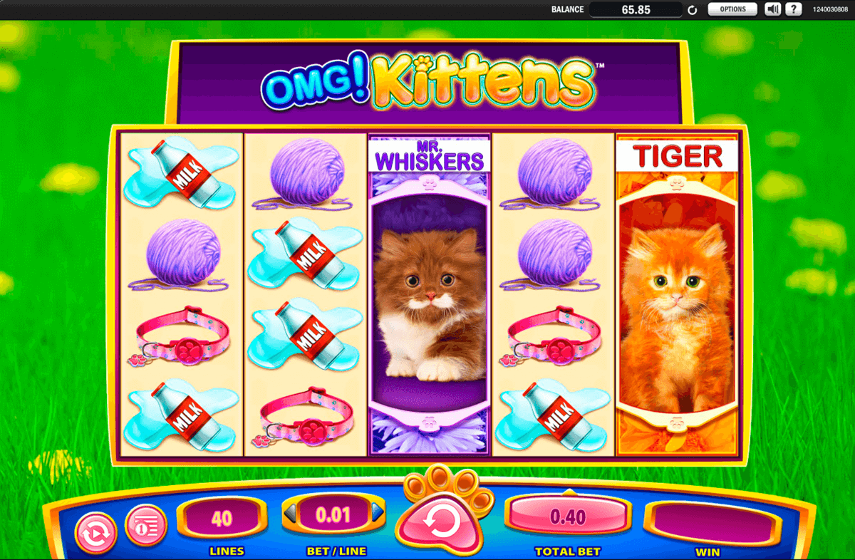 omg kittens wms jogo casino online 